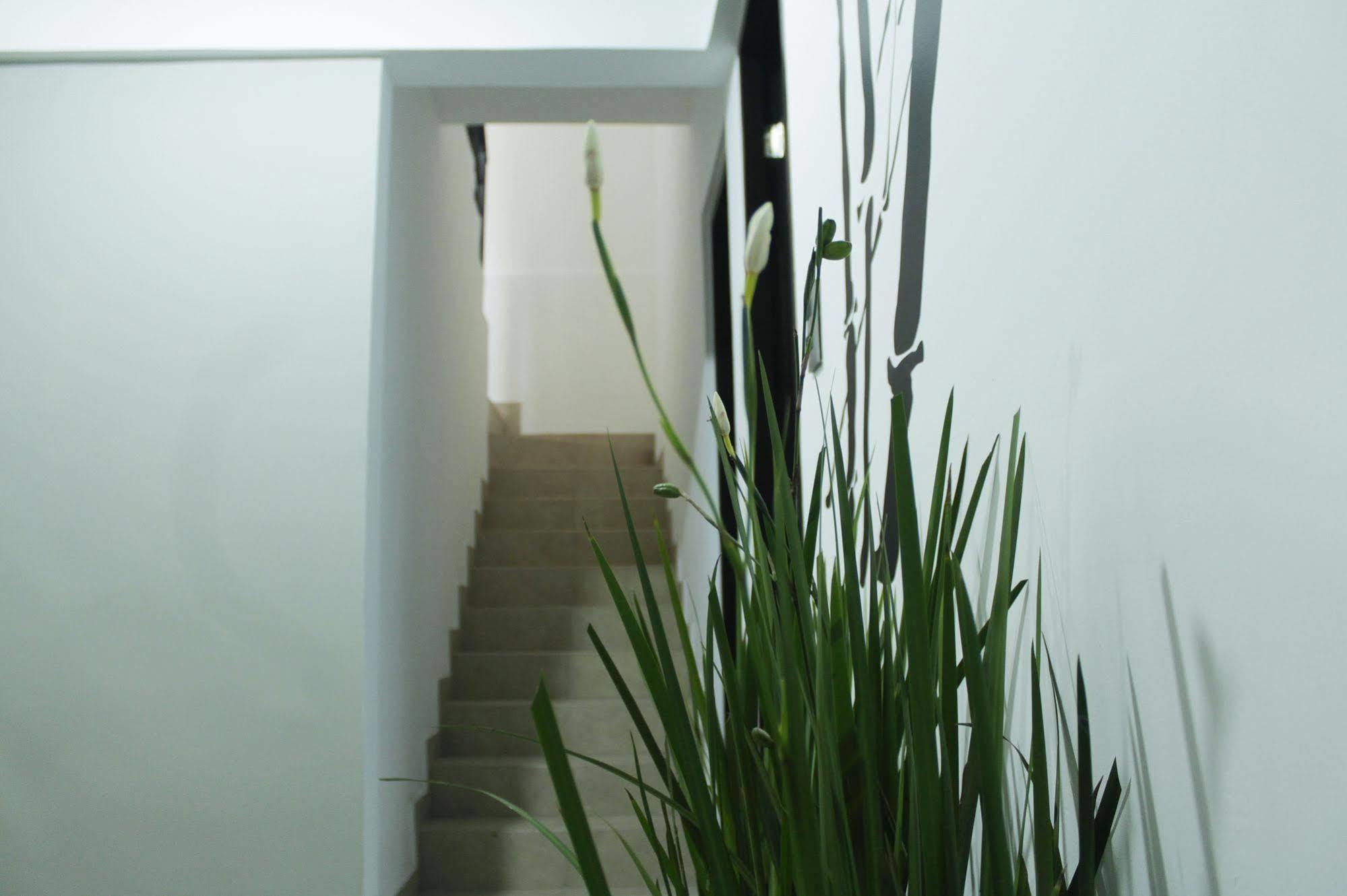 Hostal Be Condesa مدينة مكسيكو المظهر الخارجي الصورة
